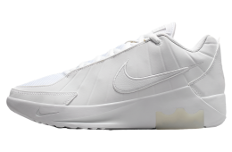 Nike Lebron Witness 9 White / Black
