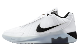 Nike Lebron Witness 9 White / Neutral Grey