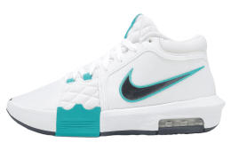 Nike LeBron Witness VIII EP White / Obsidian