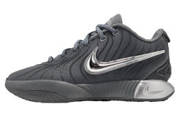 Nike LeBron XXI EP Cool Grey / Metallic Silver