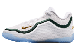 Nike Lebron Xxiii From This Point Forward GS White / Smoke Grey