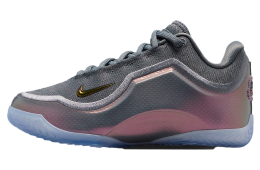 Nike Lebron Xxiii Shut Up And Dribble GS Cool Grey / Metallic Silver