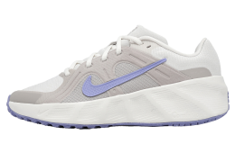 Nike Metro TEK GS Phantom / Light Thistle