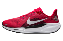 Nike Ohio State Pegasus 41 University Red / Black