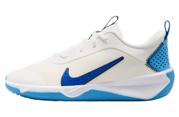 Nike Omni Multi-Court GS IC Summit White / Midnight Navy