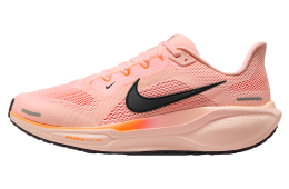 Nike Pegasus 41 Crimson Tint / Washed Coral
