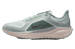 Nike Pegasus 41 Gore-Tex Light Pumice / Pure Platinum