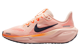 Nike Pegasus 41 GS Crimson Tint / Washed Coral