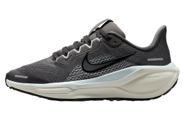 Nike Pegasus 41 GS Medium Ash / Pure Platinum