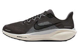 Nike Pegasus 41 Medium Ash / Pure Platinum