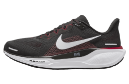 Nike Pegasus 41 Nfl Tampa Bay Buccaneers Deep Pewter / White