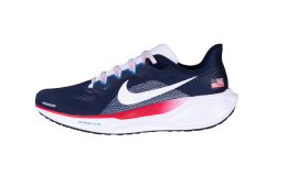 Nike Pegasus 41 USA
