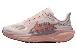 Nike Pegasus 41 WMNS Silt Red / Particle Pink