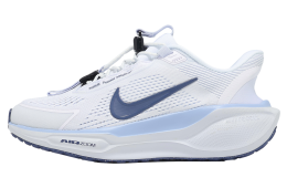 Nike Pegasus Easyon WMNS White / Diffused Blue