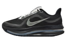 Nike Pegasus Premium Black / Metallic Silver / White