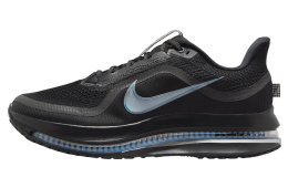Nike Pegasus Premium Black / Metallic Silver
