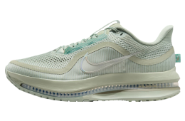 Nike Pegasus Premium Jade Horizon / Light Army