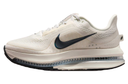 【美品】NIKE Pegasus Premium 25.0 cm Pegasus Premium – Premier