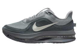 Nike Pegasus Premium Wolf Grey / Cool Grey