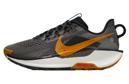 Nike Pegasus Trail 5 Black / Velvet Brown - May 2024