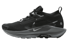 Nike Pegasus Trail 5 GORE-TEX WMNS Black / Cool Grey