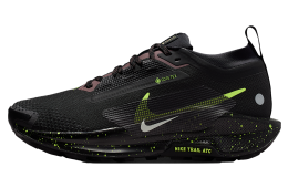 Nike Pegasus Trail 5 Gore-Tex WMNS Black / Phantom