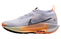 Nike Pegasus Trail 5 Gore-Tex WMNS Ghost / Malt