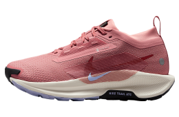 Nike Pegasus Trail 5 Gore-Tex WMNS Red Stardust / Lilac Ice