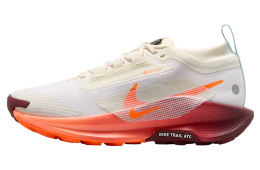 Nike Pegasus Trail 5 Gore-Tex WMNS Sail / Glacier Blue