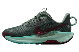 Nike Pegasus Trail 5 GS Clay Green / Bleached Turquoise