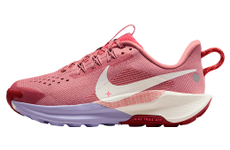 Nike Pegasus Trail 5 GS Red Stardust / Sail