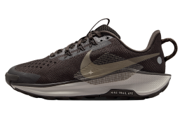 Nike Pegasus Trail 5 GS Velvet Brown / College Grey