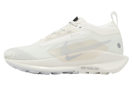 Nike Pegasus Trail 5 GTX WMNS Sail / Photon Dust