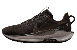 Nike Pegasus Trail 5 Velvet Brown / College Grey
