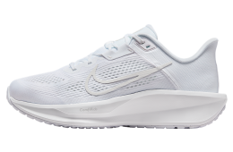 Nike Quest 6 White / Platinum Tint