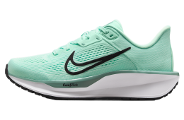 Nike Quest 6 WMNS Mint Foam / Cannon