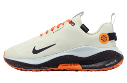 Nike ReactX Infiniity RN 4 GTX Sea Glass / Purple