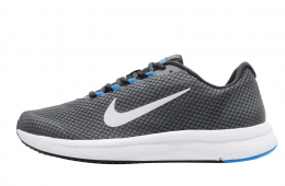 Nike Runallday Anthracite Pure Platinum