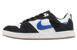 Nike SB Alleyoop White / Team Royal