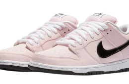 Nike SB Dunk Low Pink Box