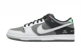 Nike SB Dunk Low VX1000 Camcorder