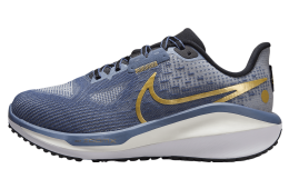 Nike Vomero 17 WMNS Diffused Blue / Ashen Slate (Extra Wide)