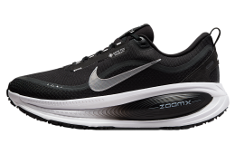 Nike Vomero 18 Gore-Tex Black / Anthracite