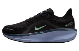 Nike Winflo 11 Gore-Tex Black / World Indigo