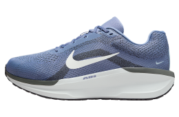 Nike Winflo 11 World Indigo / Light Armory Blue (Extra Wide)