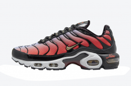Nike WMNS Air Max Plus Sisterhood