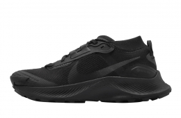 Nike WMNS Pegasus Trail 3 Gore Tex Dark Smoke Grey