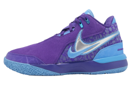 Nike ZM Lebron NXXT GEN AMPD Field Purple / Metallic Silver