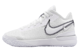 Nike Zoom LeBron NXXT GEN EP White / Metallic Silver