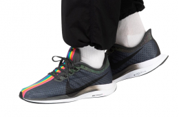 Nike Zoom Pegasus Turbo Be True